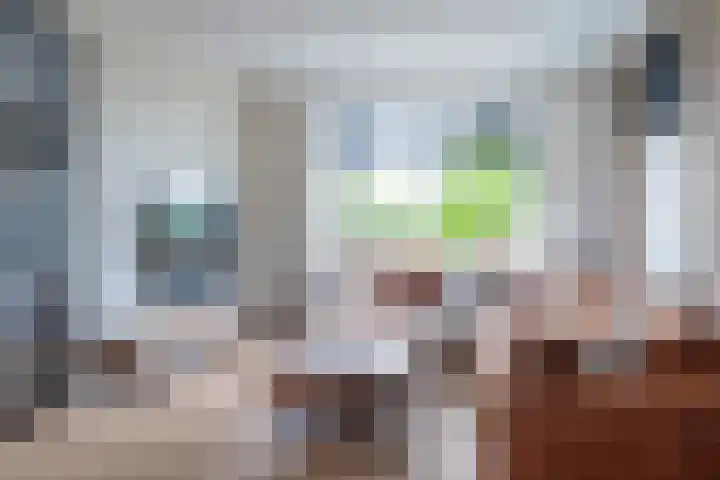 Foarwei 8 Damwâld thumbnail 8