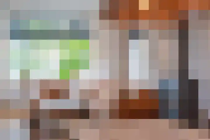 Foarwei 8 Damwâld thumbnail 9