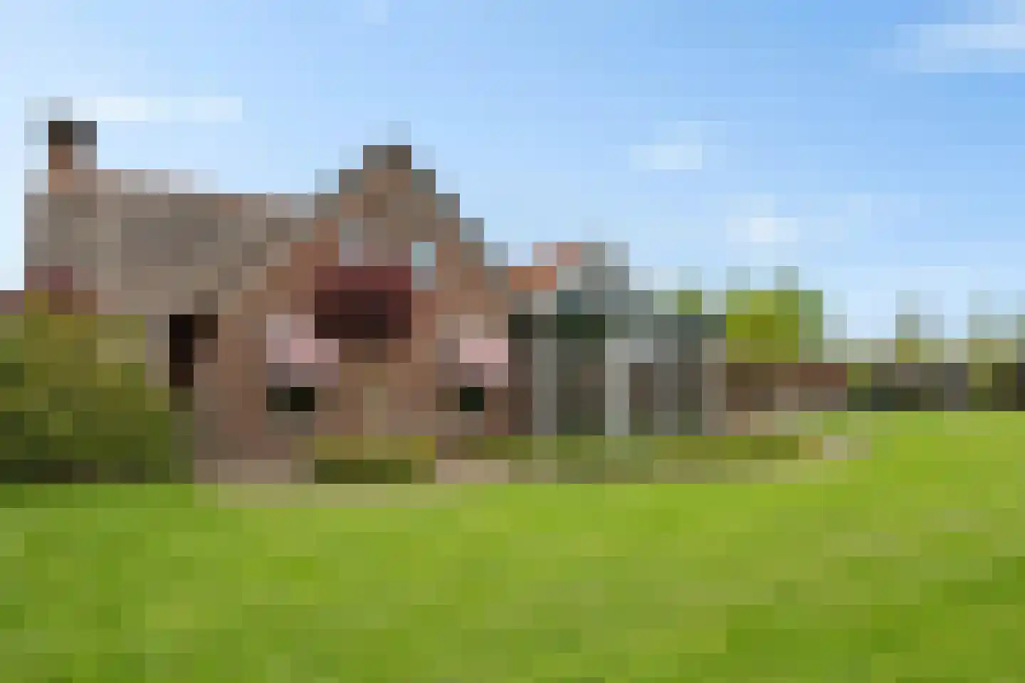 Foarwei 89 Wâlterswâld thumbnail 35