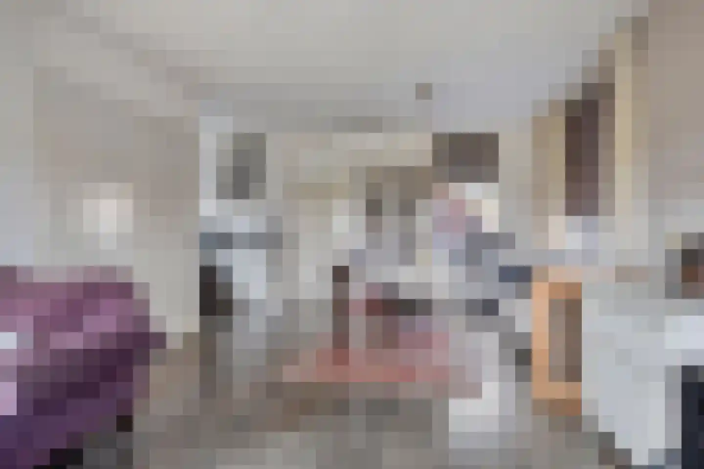 Foarwurk 15 Siegerswoude thumbnail 17
