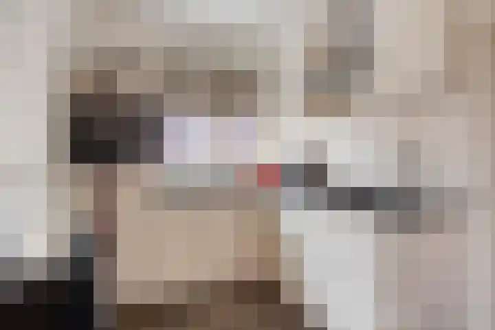 Foarwurk 15 Siegerswoude thumbnail 17