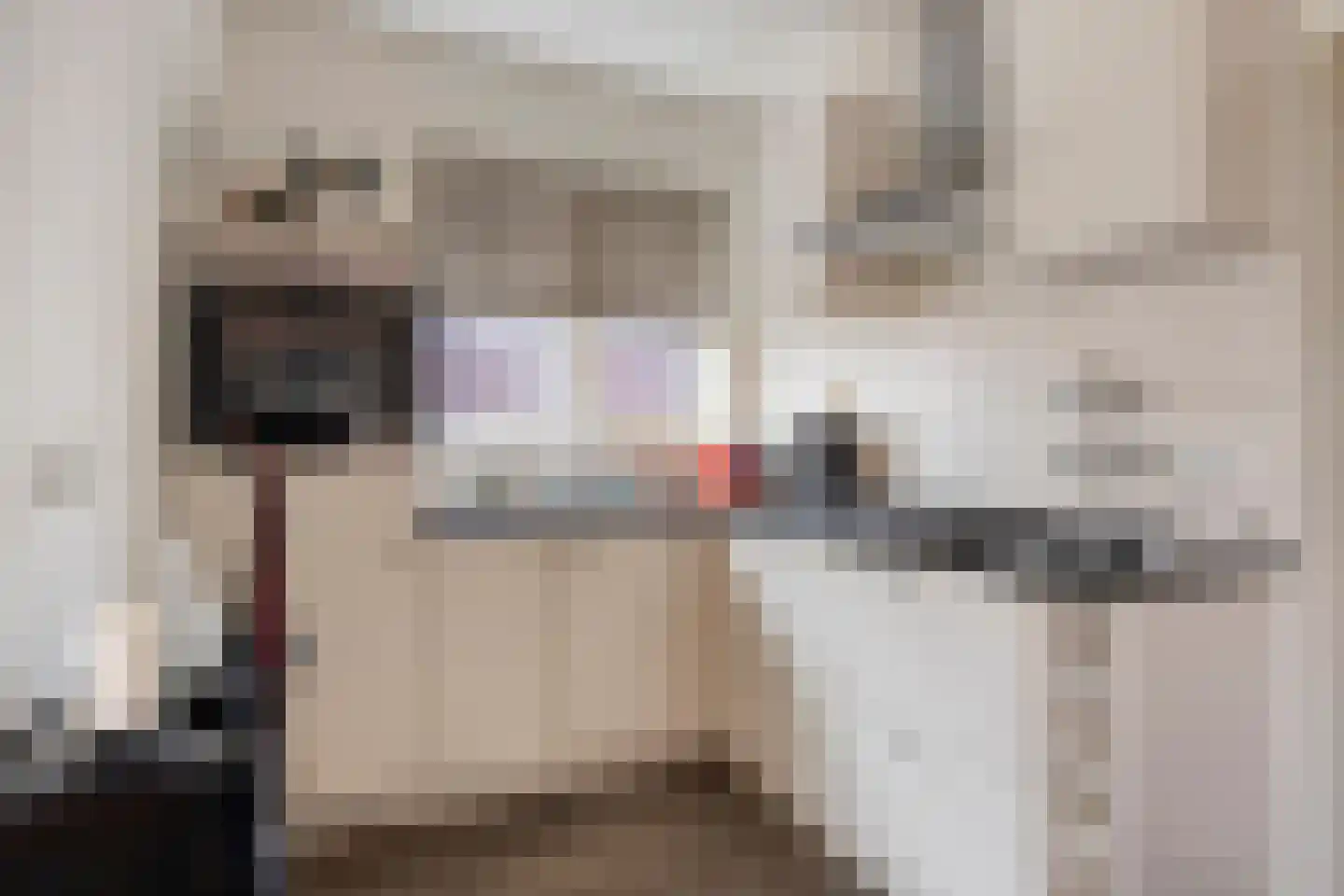 Foarwurk 15 Siegerswoude thumbnail 19