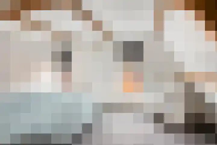 Foarwurk 15 Siegerswoude thumbnail 22