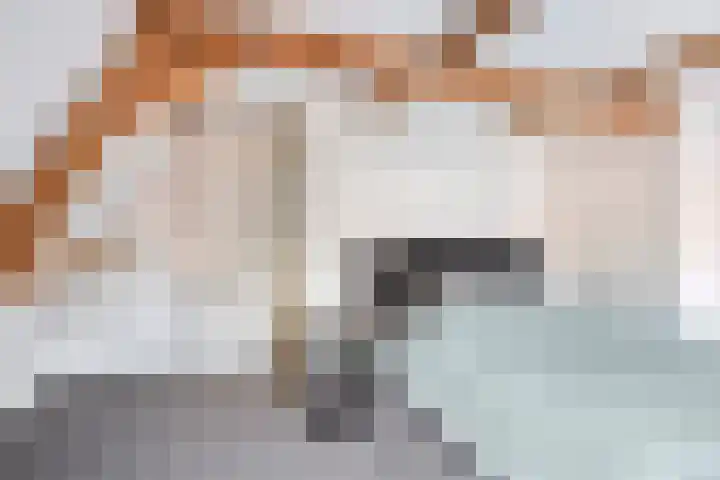 Foarwurk 15 Siegerswoude thumbnail 23