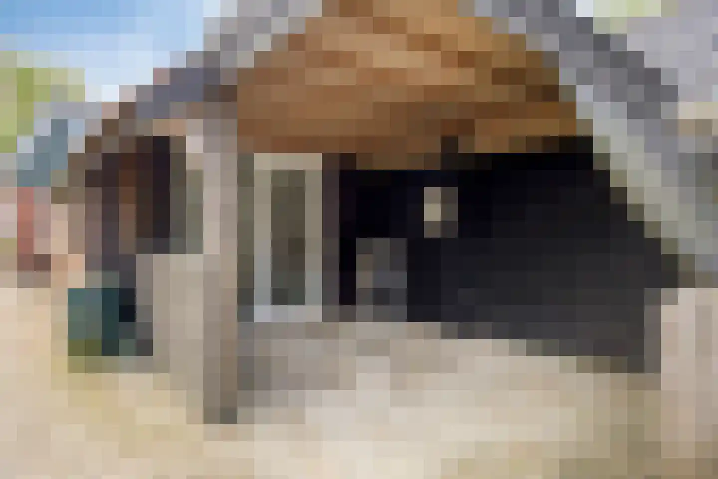 Foarwurk 15 Siegerswoude thumbnail 25