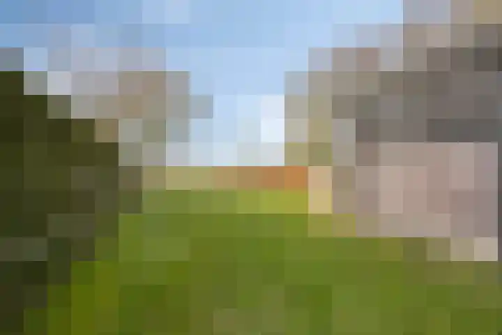 Foarwurk 15 Siegerswoude thumbnail 29