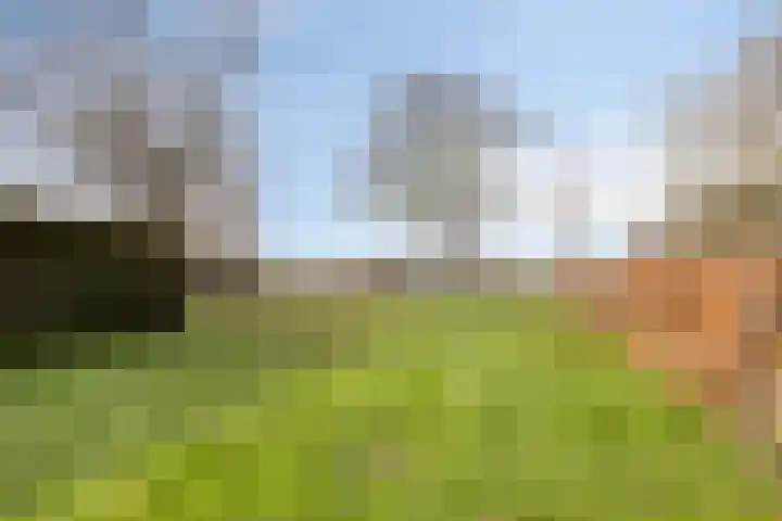 Foarwurk 15 Siegerswoude thumbnail 30