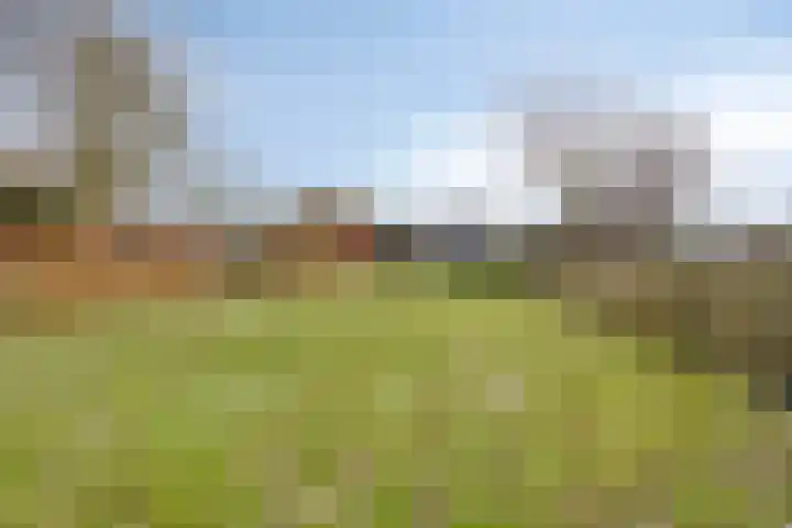 Foarwurk 15 Siegerswoude thumbnail 31