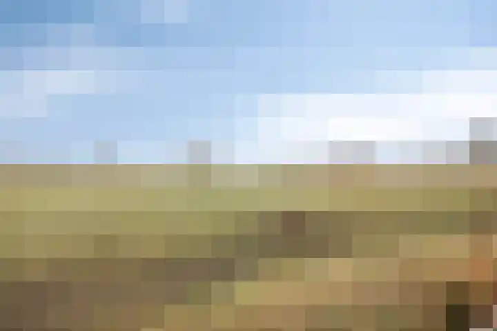 Foarwurk 15 Siegerswoude thumbnail 32