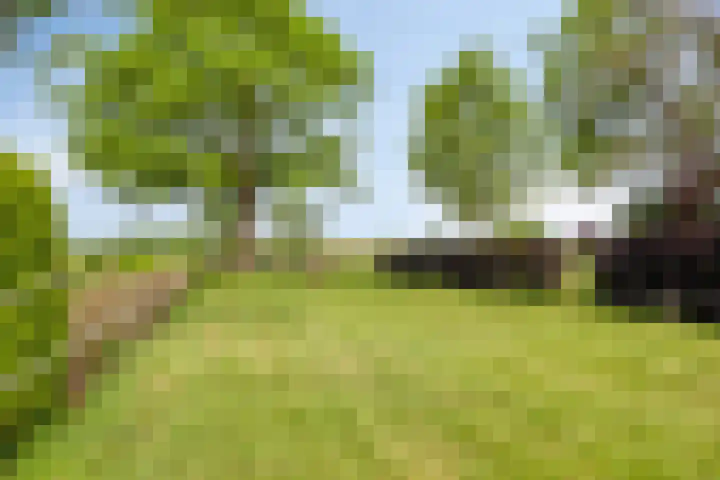 Foarwurk 15 Siegerswoude thumbnail 38