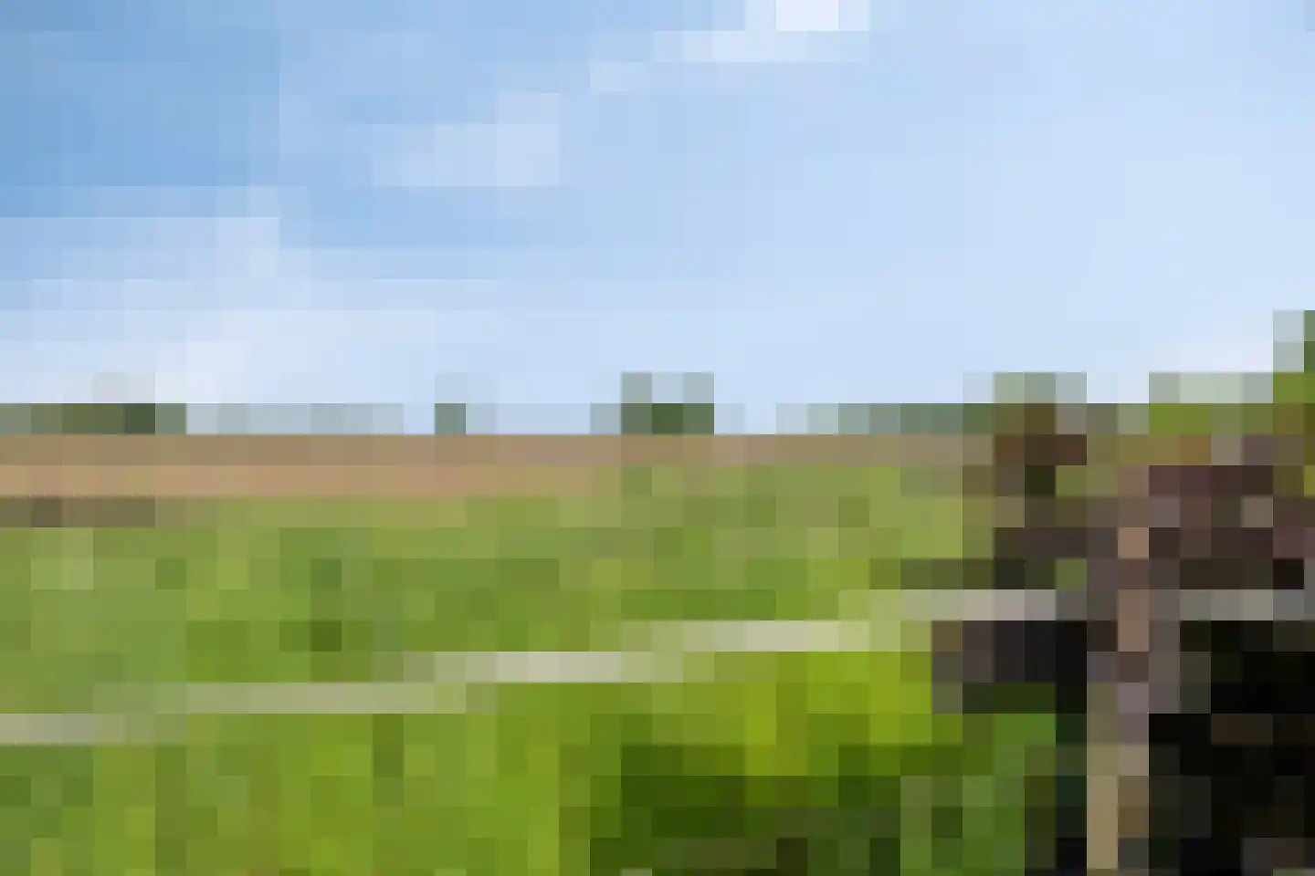 Foarwurk 15 Siegerswoude thumbnail 39