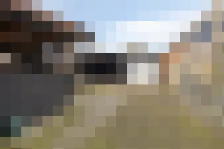 Foarwurk 15 Siegerswoude thumbnail 4
