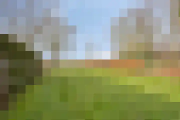 Foarwurk 15 Siegerswoude thumbnail 5