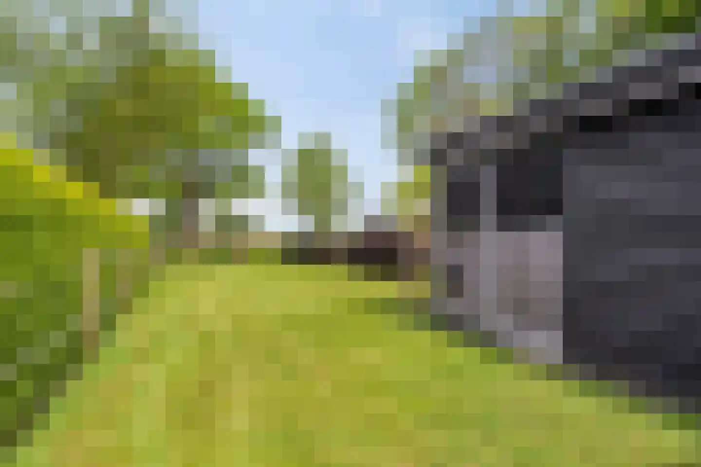 Foarwurk 15 Siegerswoude thumbnail 5