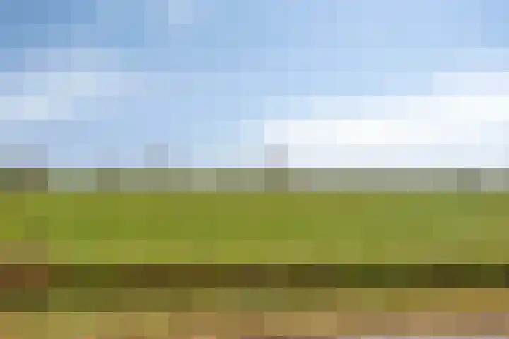 Foarwurk 15 Siegerswoude thumbnail 9