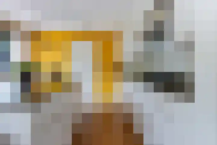 Foarwurk 39 G Siegerswoude thumbnail 11