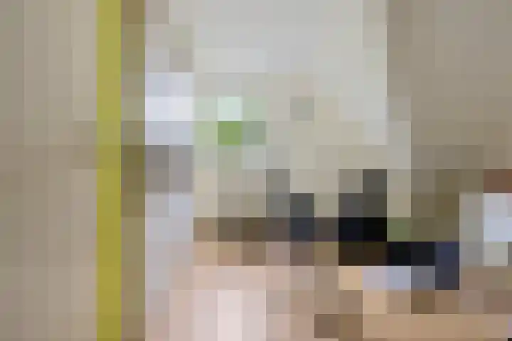 Foarwurk 39 G Siegerswoude thumbnail 26