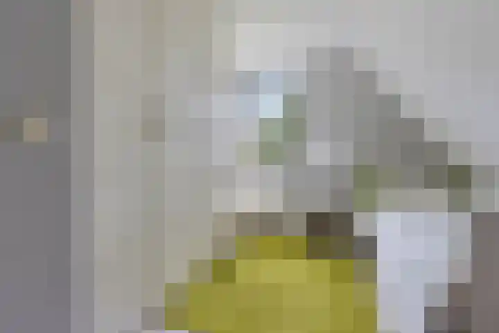 Foarwurk 39 G Siegerswoude thumbnail 27