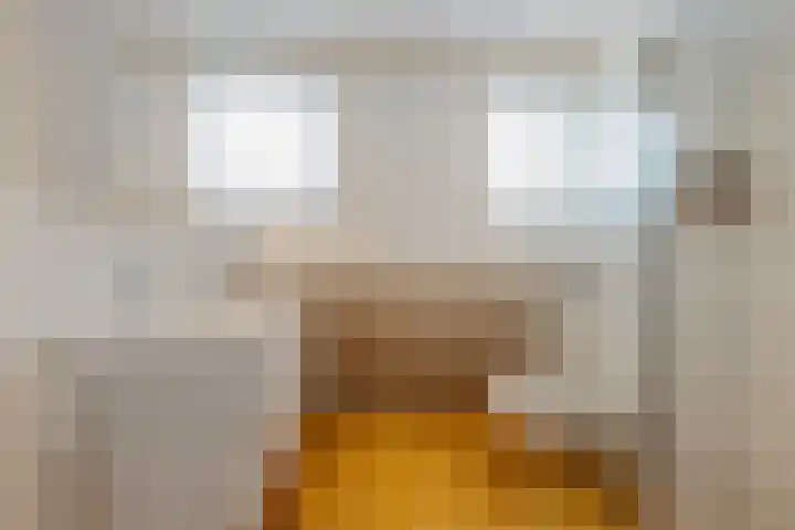 Foarwurk 39 G Siegerswoude thumbnail 29