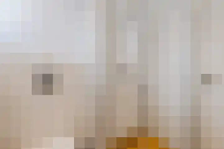 Foarwurk 39 G Siegerswoude thumbnail 30