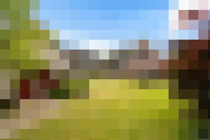 Foarwurk 39 G Siegerswoude thumbnail 32