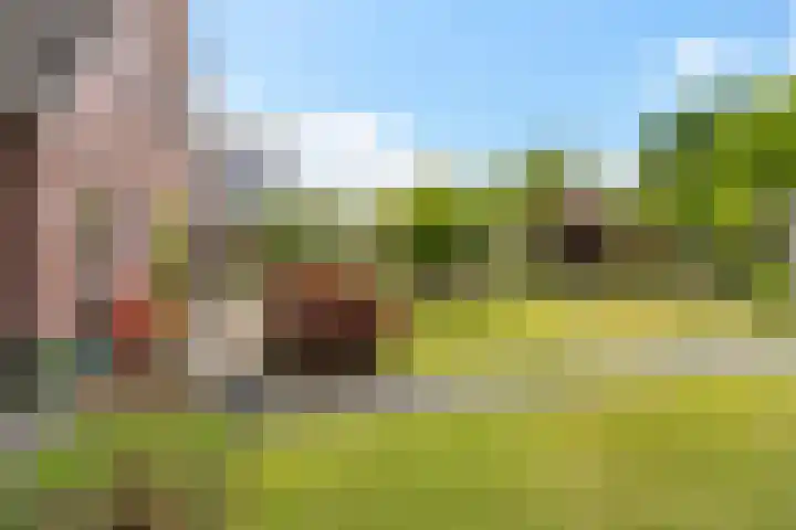 Foarwurk 39 G Siegerswoude thumbnail 33