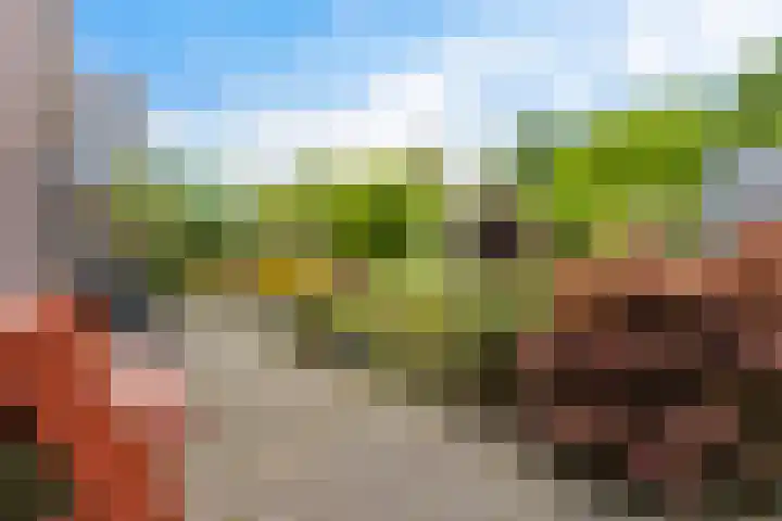Foarwurk 39 G Siegerswoude thumbnail 35