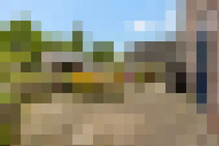 Foarwurk 39 G Siegerswoude thumbnail 36