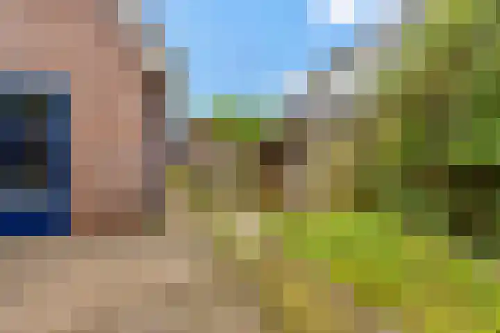 Foarwurk 39 G Siegerswoude thumbnail 37