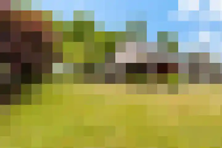 Foarwurk 39 G Siegerswoude thumbnail 38