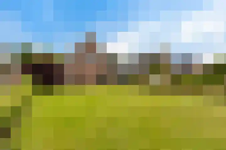 Foarwurk 39 G Siegerswoude thumbnail 43