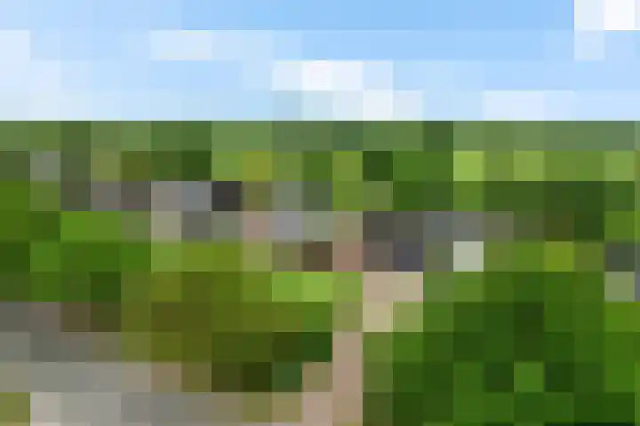 Foarwurk 39 G Siegerswoude thumbnail 44
