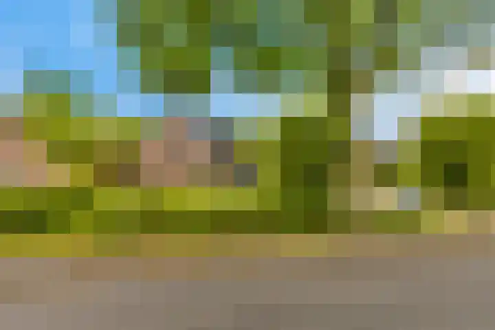 Foarwurk 39 G Siegerswoude thumbnail 45