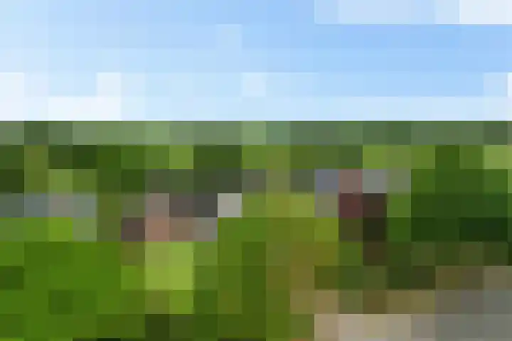 Foarwurk 39 G Siegerswoude thumbnail 47