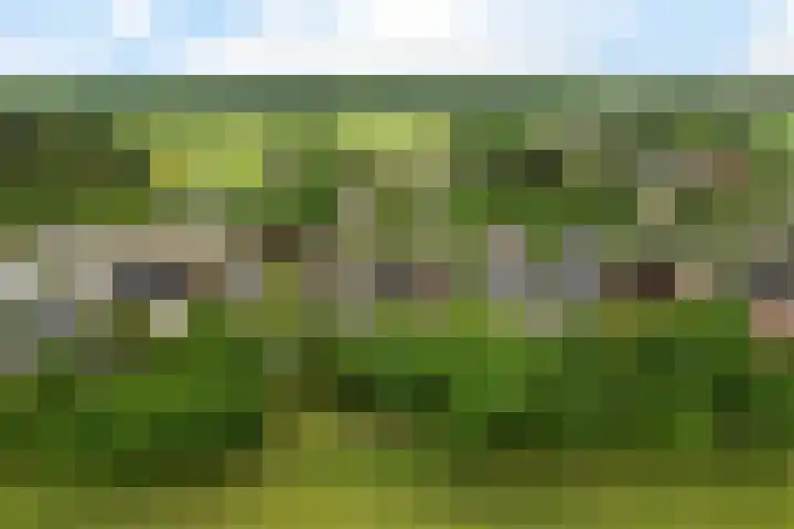 Foarwurk 39 G Siegerswoude thumbnail 48