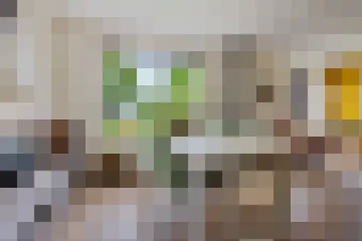 Foarwurk 39 G Siegerswoude thumbnail 5