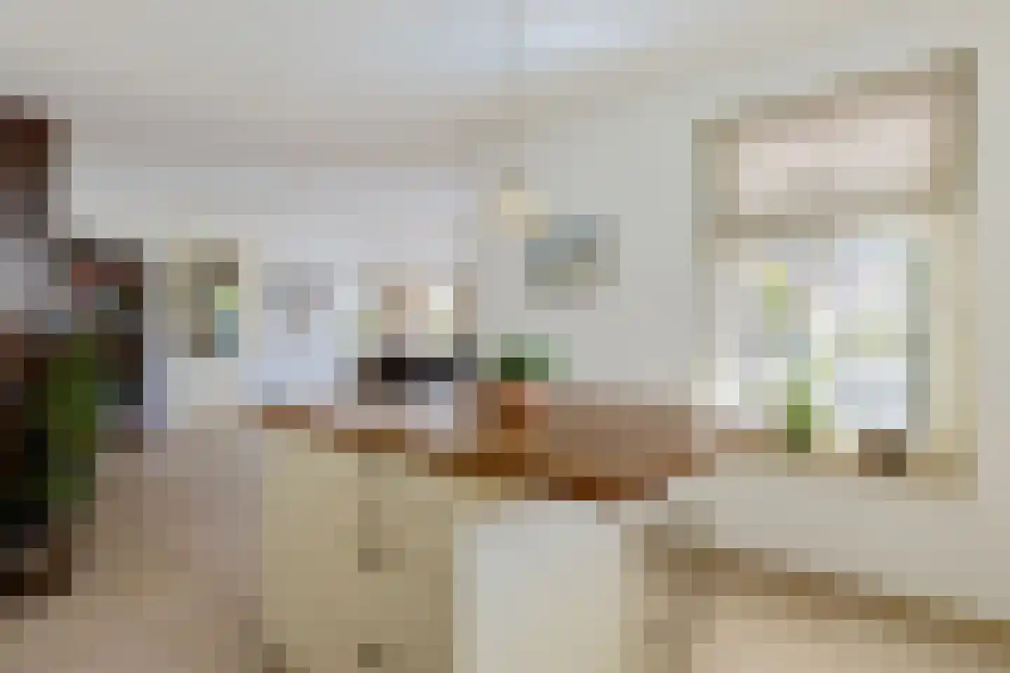 Foarwurker Wei 8 Bakkeveen thumbnail 14