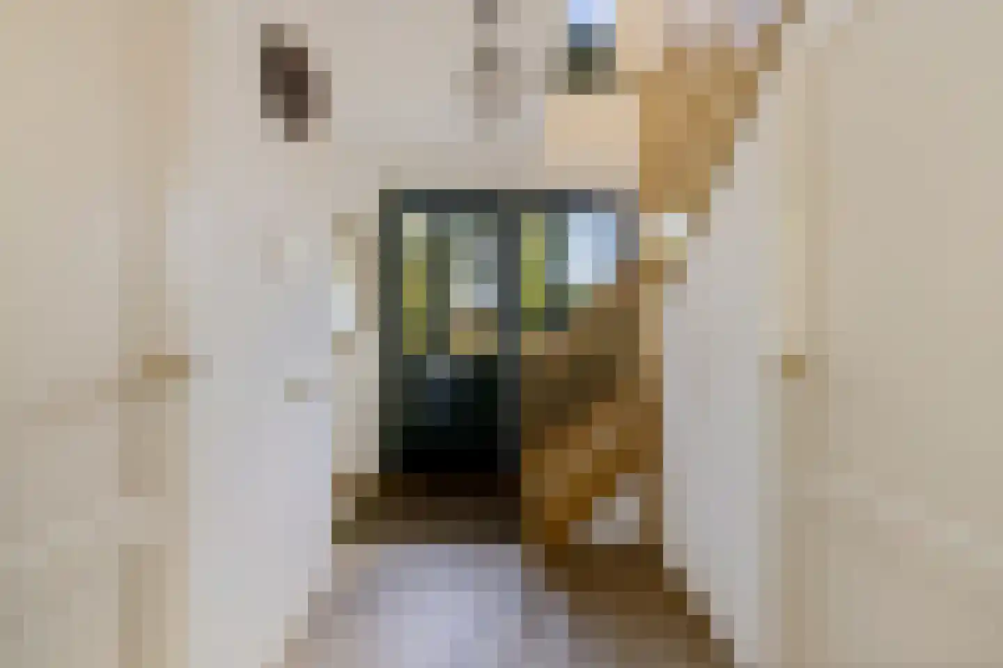 Foarwurker Wei 8 Bakkeveen thumbnail 16