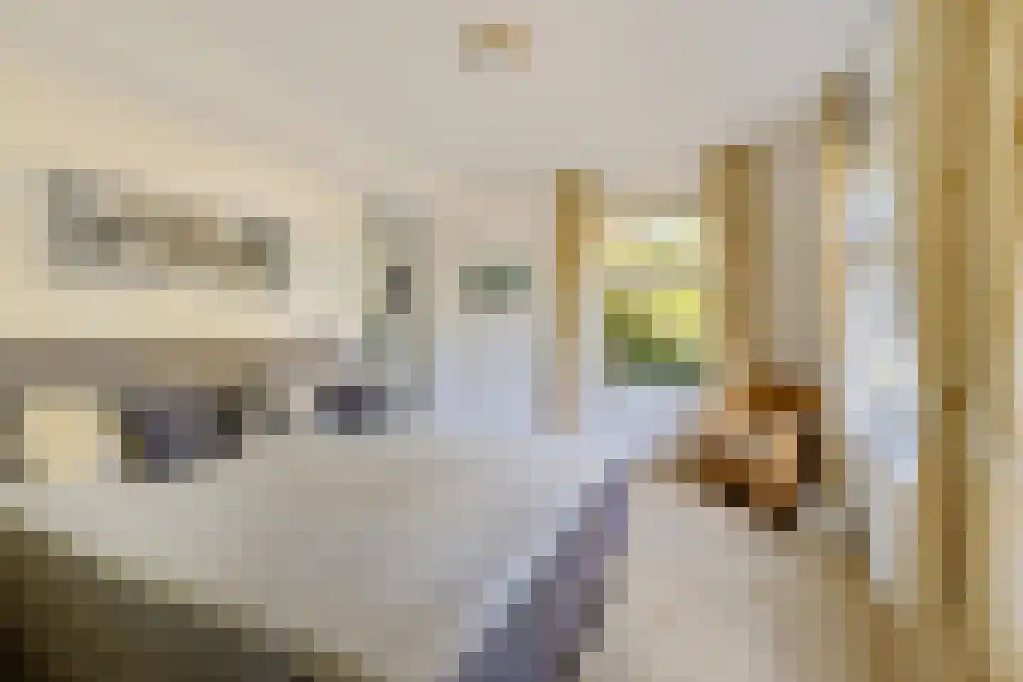 Foarwurker Wei 8 Bakkeveen thumbnail 31