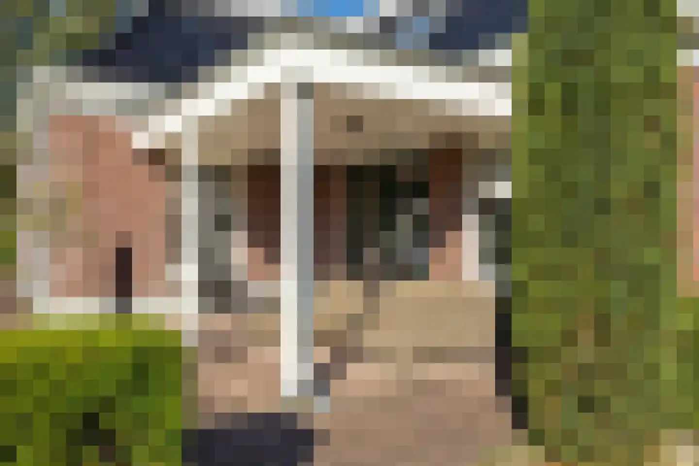 Foarwurker Wei 8 Bakkeveen thumbnail 36