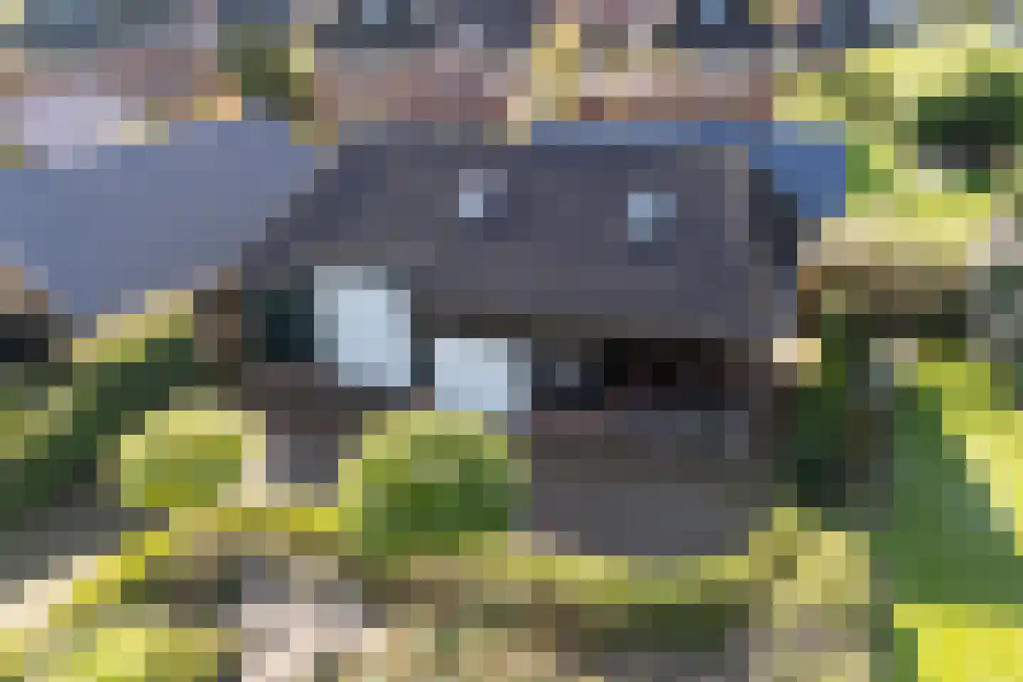 Foarwurker Wei 8 Bakkeveen thumbnail 41