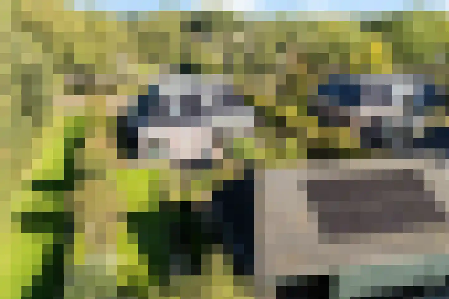 Foarwurker Wei 8 Bakkeveen thumbnail 47