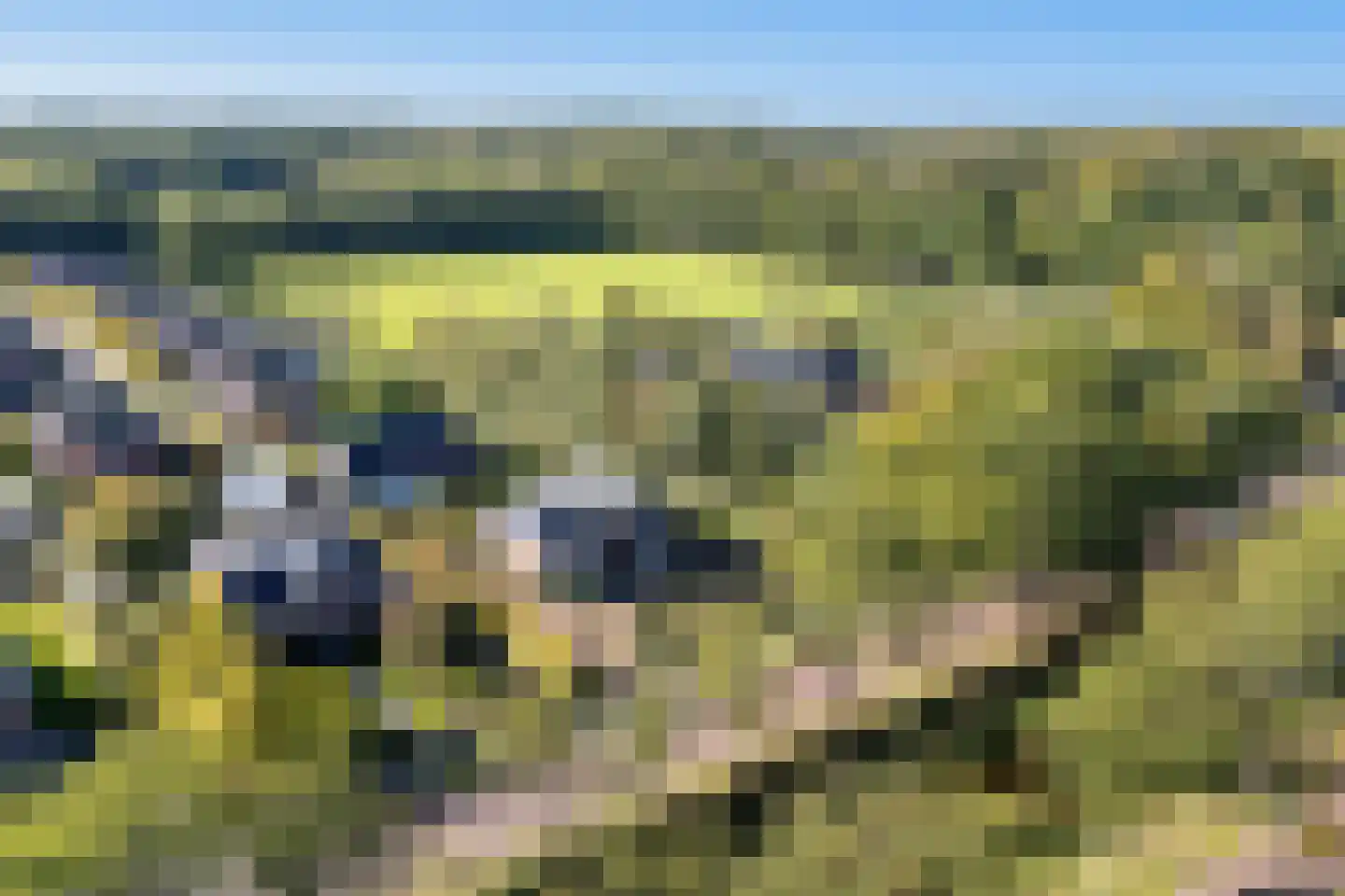 Foarwurker Wei 8 Bakkeveen thumbnail 48