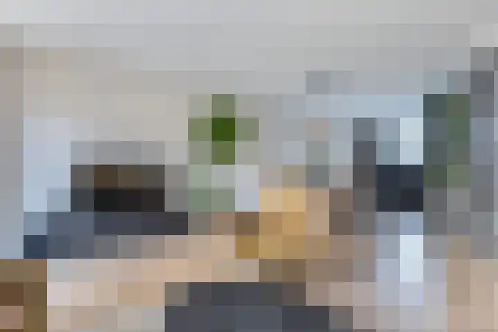 Fockema Andreaelaan 18 Beetsterzwaag thumbnail 10