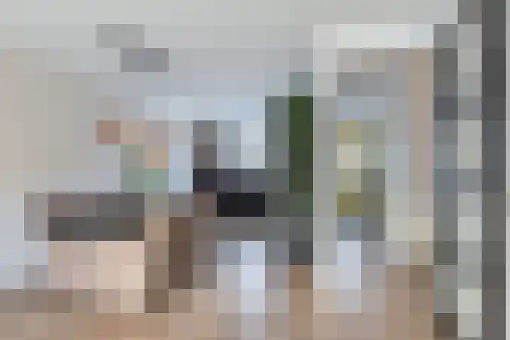 Fockema Andreaelaan 18 Beetsterzwaag thumbnail 13