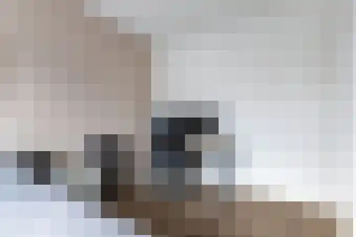 Fockema Andreaelaan 18 Beetsterzwaag thumbnail 22