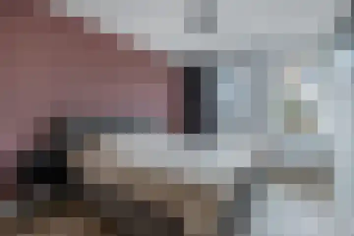 Fockema Andreaelaan 18 Beetsterzwaag thumbnail 23