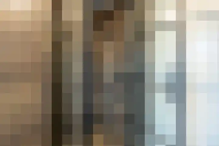 Fockema Andreaelaan 18 Beetsterzwaag thumbnail 26