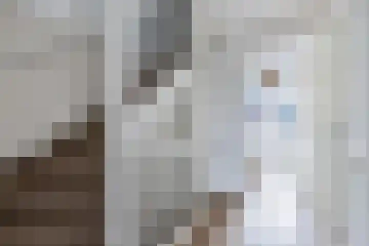 Fockema Andreaelaan 18 Beetsterzwaag thumbnail 28