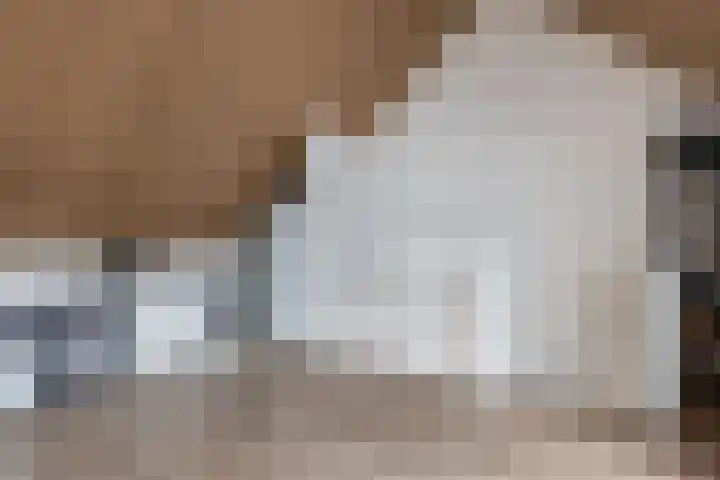 Fockema Andreaelaan 18 Beetsterzwaag thumbnail 29